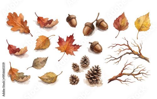 Autumn leaves and forest elements set with pinecones acorns branches