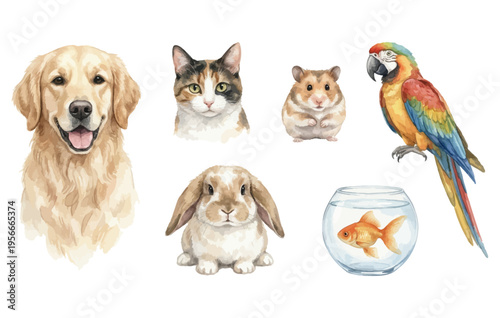 Domestic pets portraits collection with dog cat rabbit hamster parrot