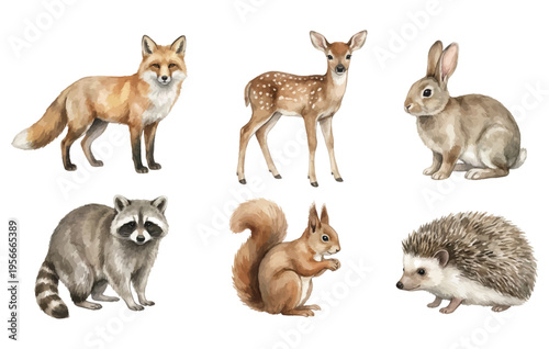 Forest animals set watercolor painting cute wild creatures isolated