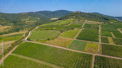 Quadro em tela Panorama view of vineyards at Tokaj region of Hungary