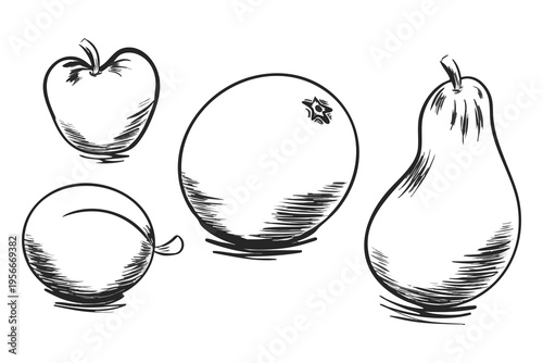 Sketching of Fruits with shading of Shadows. Hand drawn Ink pear, apple, orange. Black outlines of tangerine and plum. Set Line Art. Vitamins, healthy eating. Collection. Isolated. Vector illustration