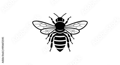 Black and white illustration of a bee.