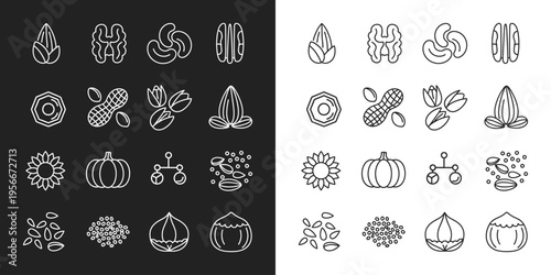 Assortment of nuts and seeds graphic icons for healthy food ingredient