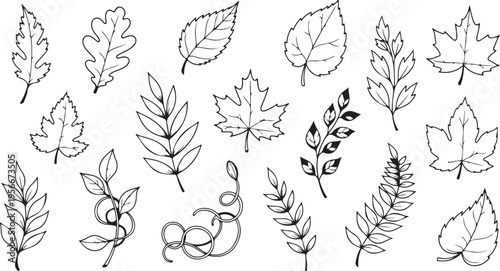 Playful Leaf Doodle Silhouettes – Hand-Drawn Botanical Leaves Vines Black Vector