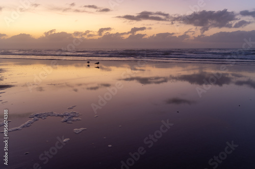 Smooth Beach at Twilight with Birds