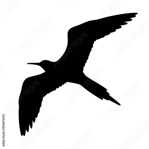 Black silhouette of frigatebird flying high in the sky frigate bird vector illustration art