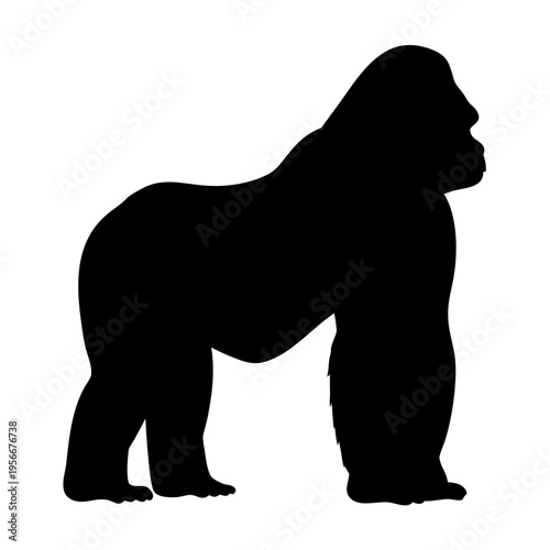 Gorilla silhouette vector illustration of primate animal wildlife ape mammal jungle forest strength
