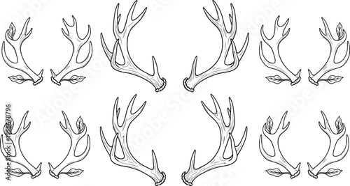 "Black and white line illustration of six symmetrical pairs of deer antlers arranged in grid pattern, showcasing wildlife design, natural horn structure, decorative artwork