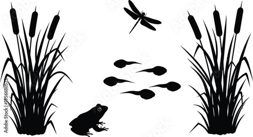 Web"Black silhouette illustration of pond ecosystem with cattail plants, frog, tadpoles, and dragonfly, representing natural habitat, amphibian life cycle, aquatic vegetation, and wildlife artwork"
