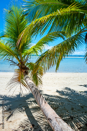 Принти на полотні Moireré Beach, on Boipeba Island, is an ecological paradise featuring deserted beaches, calm, crystal-clear waters, natural pools, and coconut palms