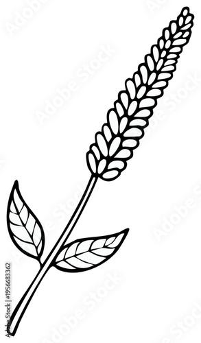 Outlined Wheat Stalk with Leaves Illustration Agriculture Crop Grain