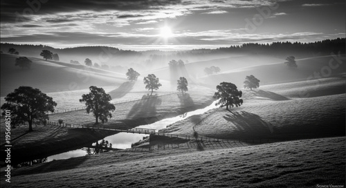 Black and white rural landscape.