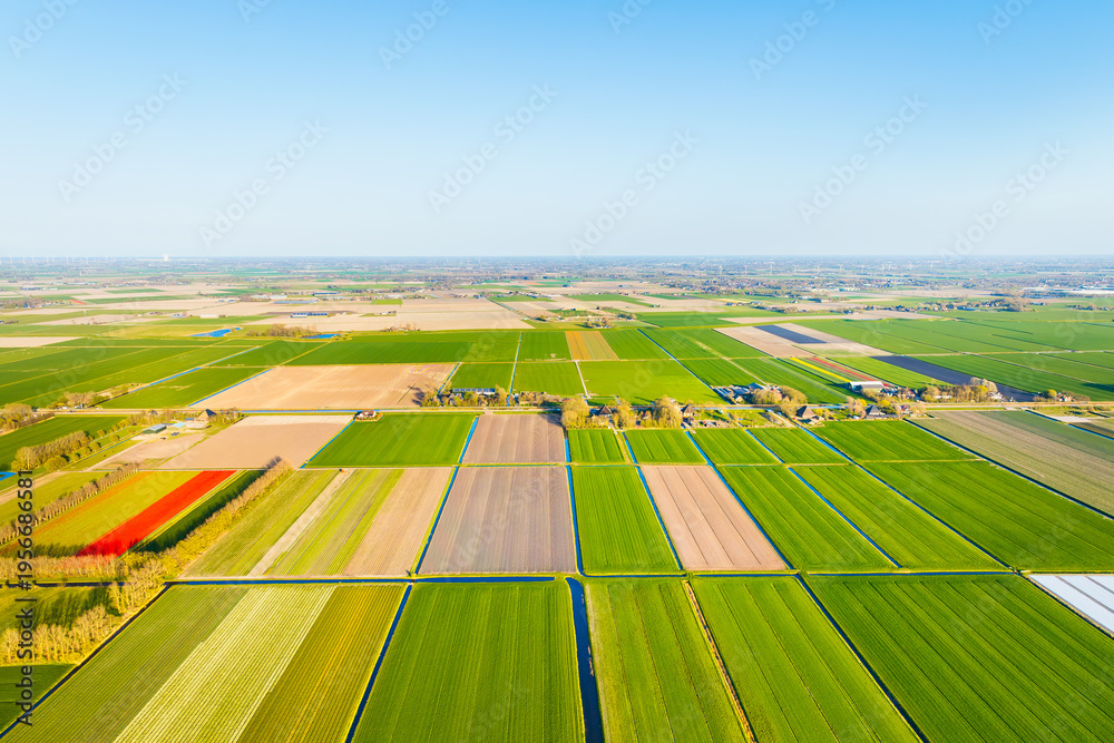 Fototapeta premium Aerial view of Dutch agricultural landscape with green fields, meadows and water canals under blue sky. Summer sunny day in Netherlands countryside. Rural agriculture environment from above.