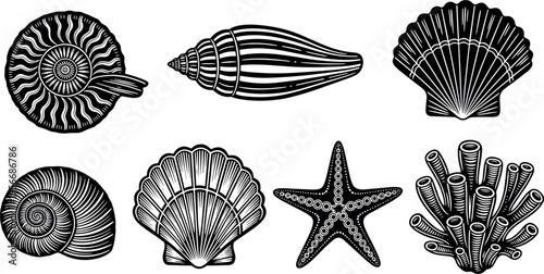 Sea Shells Collection with Nautilus Conch Scallop Starfish Coral Marine Nature Engraving Style Black and White Vector Illustration Set