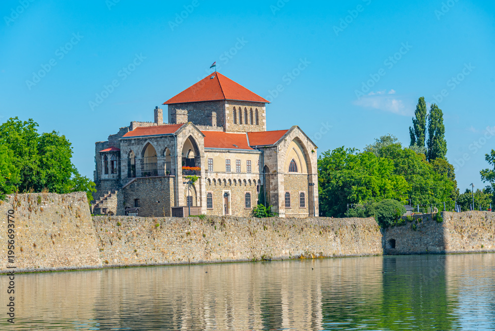 Obraz premium Tata castle viewed during a sunny day in hungary