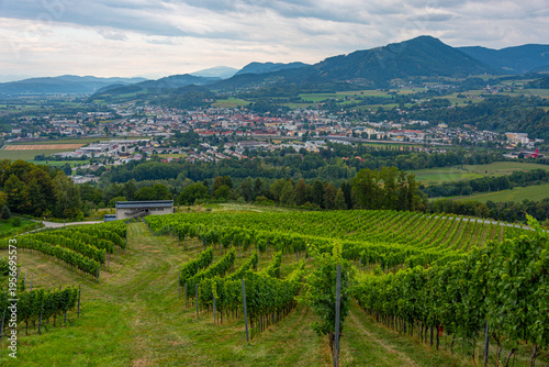 Bild auf Leinwand Taggenbrunn wine estate in Austria