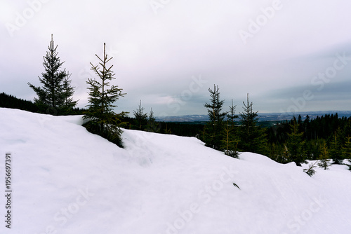Early spring on the northern part of the Totenåsen Hills, Norway, March 2026.