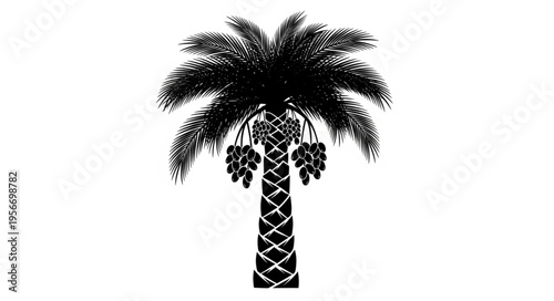 Palm Tree Silhouette Illustration.