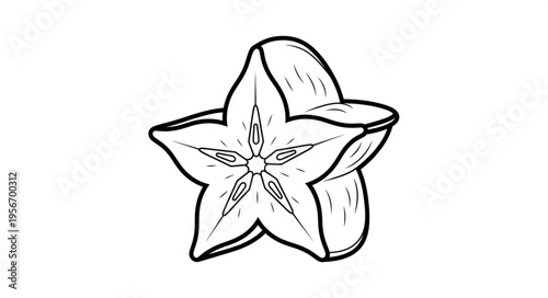 Starfruit Sliced Fresh Fruit.