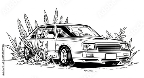 Vintage Car in the Wilderness.