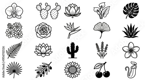 A Comprehensive Collection of Stylized Botanical Vector Icons and Floral Illustrations, Showcasing Diverse Plants and Blossoms in Elegant Monochrome Designs for Various Creative Projects