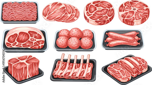 Collection of fresh raw beef meat assorted butcher cuts including steaks ground mince sausages ribs and meatballs in trays isolated on white background for food illustration