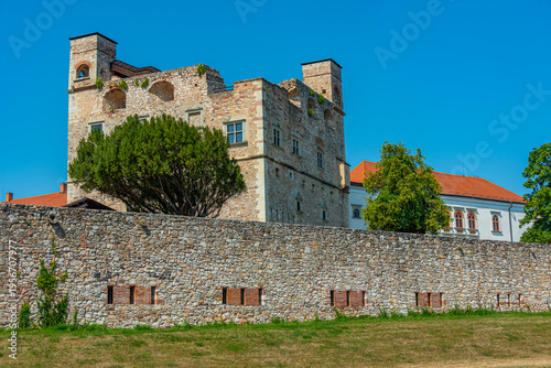 Summer day at Sarospatak castle in Hungary