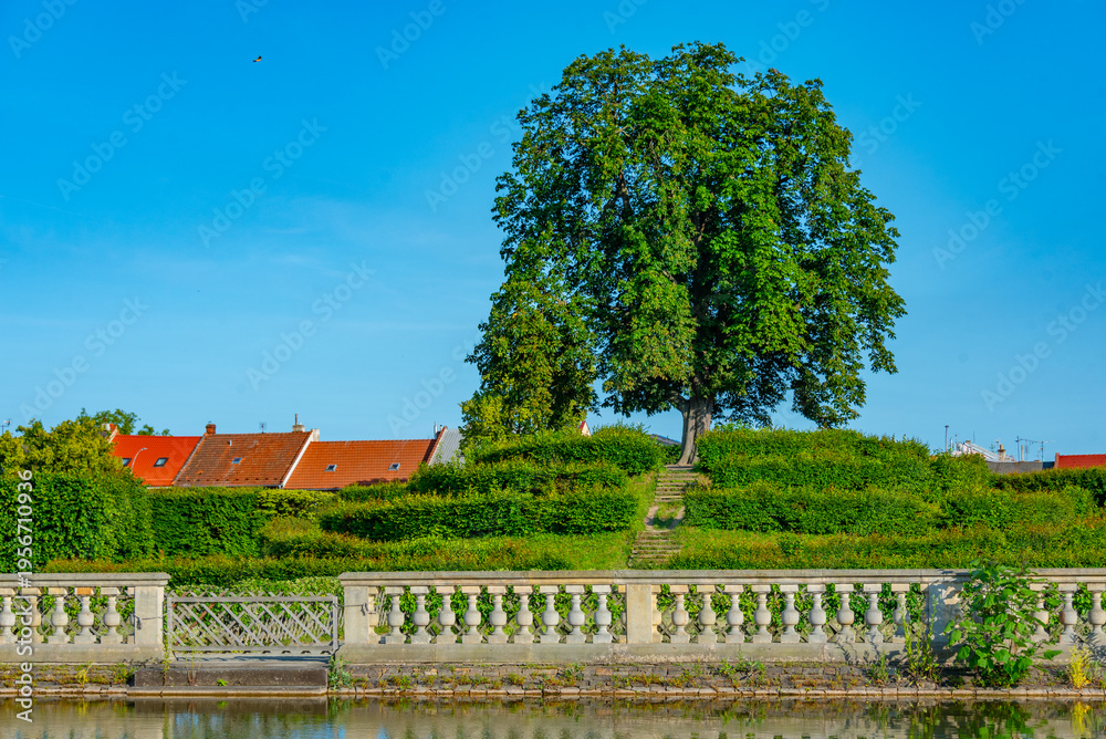 Obraz premium strawberry hills at the Flower garden at Kromeriz, Czech republi