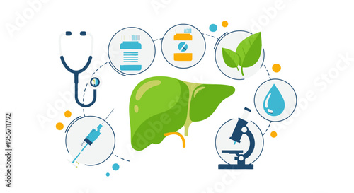 Liver health and medical wellness concept.