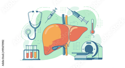 Liver health medical concept with doctor tools.