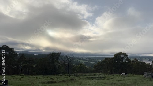 Blue mountains early morning sun, field, horse.