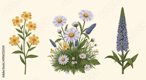 colorful flowers illustration, floral bouquet, blooming plants