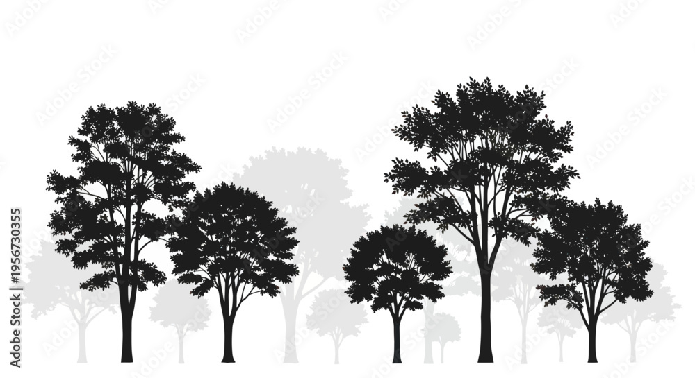 Fototapeta premium Black Silhouette Trees Against White Background, Forest Woodland Nature Scene