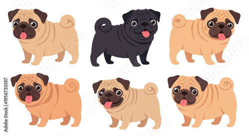 Cute Pug Dogs Collection: Fawn and Black Breeds, Playful Poses, Isolated on White