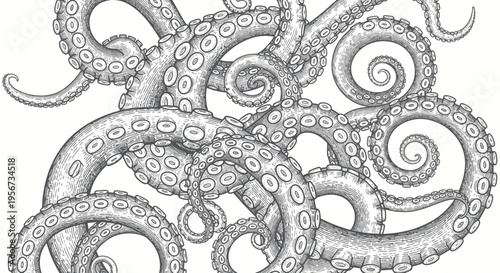 Detailed illustration of swirling octopus tentacles with suckers, monochrome drawing