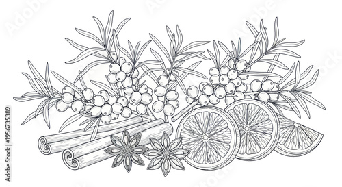 Hand-drawn Sea Buckthorn, Orange Slices, Cinnamon, Star Anise - Winter Spice Illustration