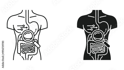 Digestive System Anatomy Icon: Magnifying Glass Over Intestines and Stomach, Line Art & Silhouette