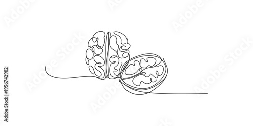 Continuous line drawing of a brain cut in half on a white background art illustration
