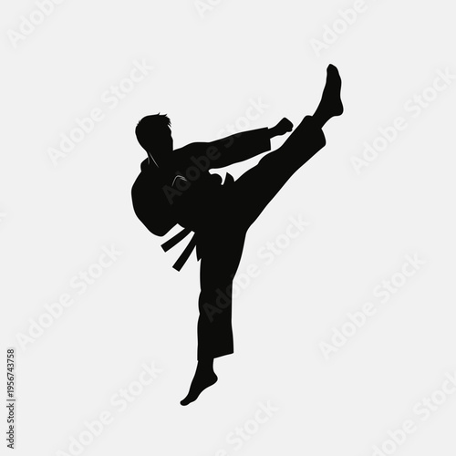 Martial artist performs a high kick in a fighting stance with one leg raised.