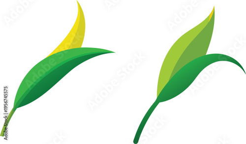 Green organic sprout vector illustration featuring a natural leaf icon for eco-friendly design and environmental ecology symbols isolated on a white background