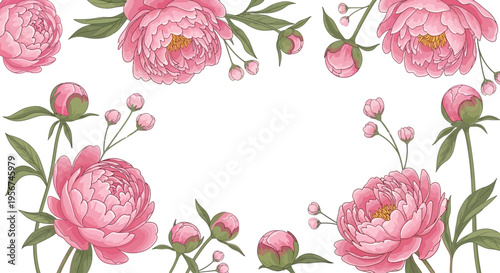 Pink Peony Flowers with Green Leaves.