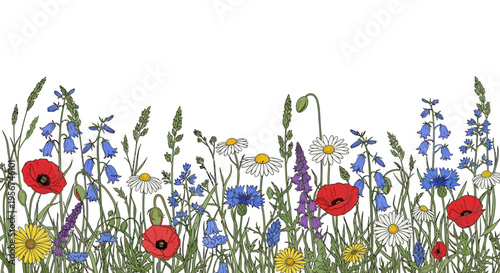 Colorful flowers in a field.