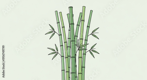 Bamboo plant green stems.