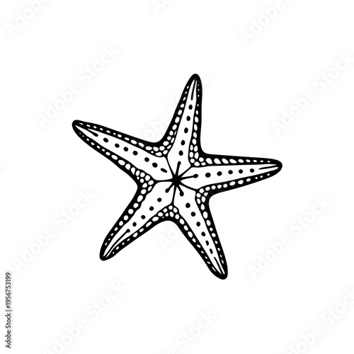 Detailed black and white line drawing of a starfish with five arms and textured surface.