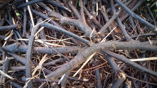 Photography Pile of Dry Dark Wooden Twigs and Branches Texture