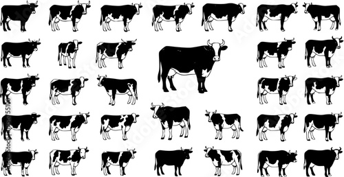 Collection of diverse black and white cow and bull illustrations, featuring various breeds and styles of cattle, perfect for farm animal and agricultural designs.