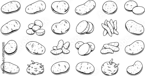 Collection of Potato Illustrations: A Diverse Set of Potato Designs