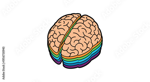 Human Brain Layers Representing Cognitive Processing And Thinking Activity