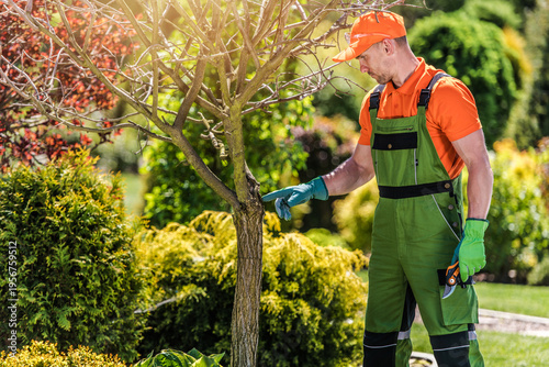 Gardener Works on Tree Care in Sunny Park Setting