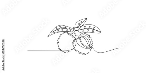 Continuous line drawing of coconut fruits with leaves on a simple landscape coconuts fruit art